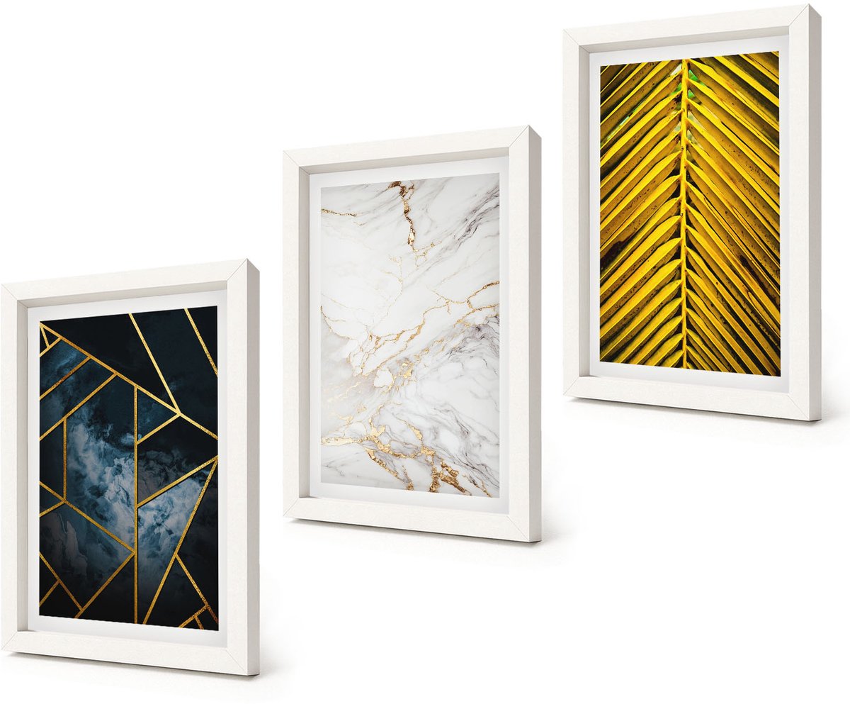 Coloray 3-Delige Schilderij Set - Moderne geometrische patronen en natuurlijke plantmotieven - 20x30 - Wanddecoratie - Woonkamer Decoratie - Moderne Wanddecoratie