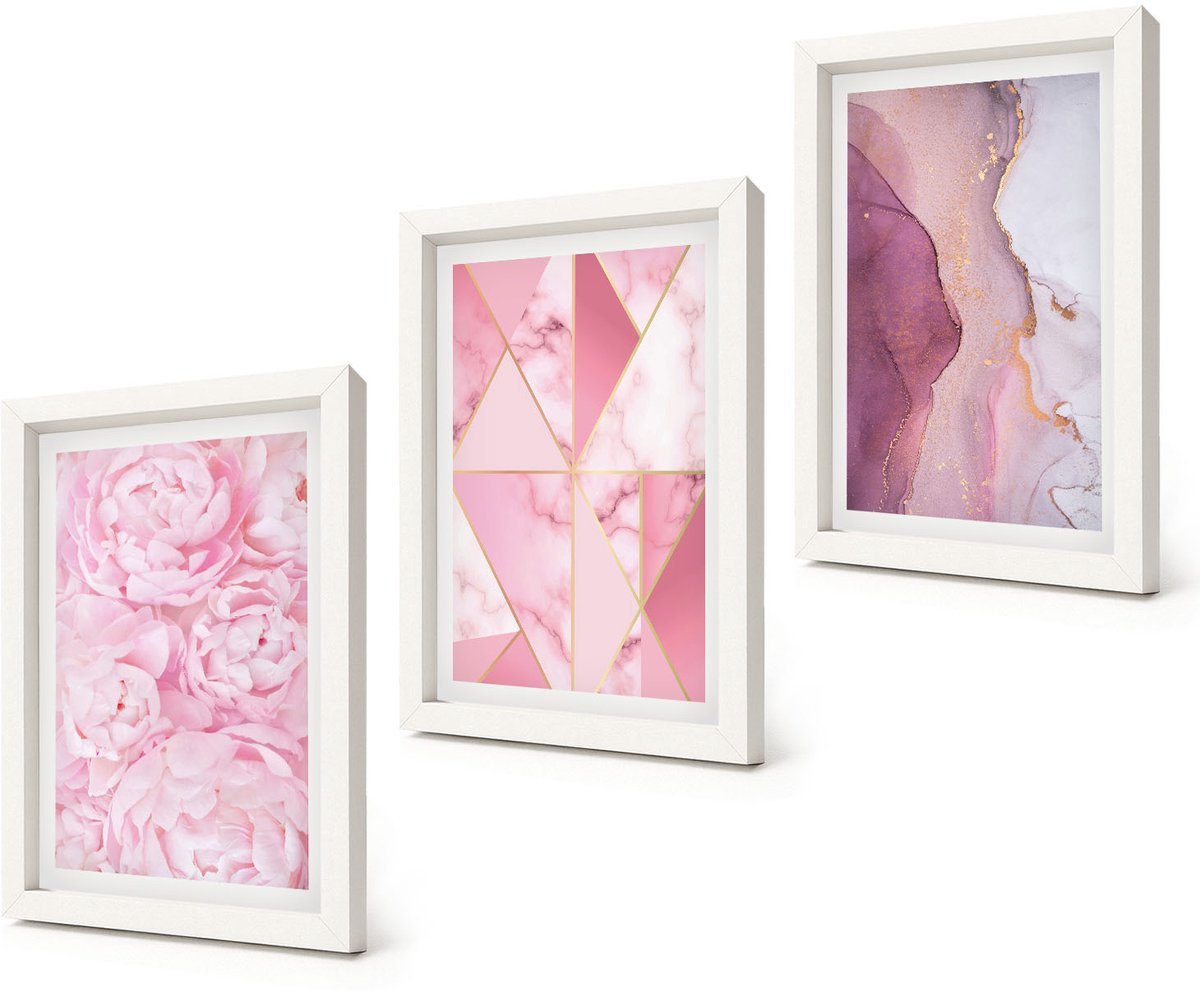 Coloray 3-Delige Schilderij Set - Roze pioenrozen met geometrische patronen - 20x30 - Decoratieve Muurdecoratie - Slaapkamer - Decoratieve Schilderijen