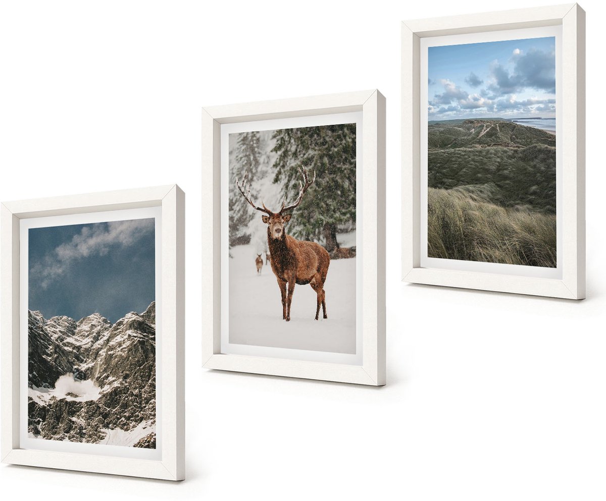 Coloray 3-Delige Schilderij Set - Bergen met sneeuwherten in boslandschappen - 20x30 - Wanddecoratie - Muurdecoratie - Moderne Interieurdecoratie - Moderne Wanddecoratie