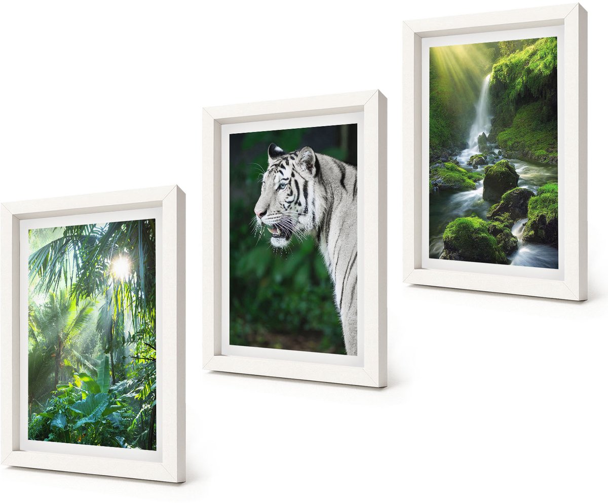 Coloray 3-Delige Schilderij Set - Jungle met een witte tijger en een wilde waterval - 20x30 - Wanddecoratie - Moderne Interieurdecoratie - Woonkamer Decoratie