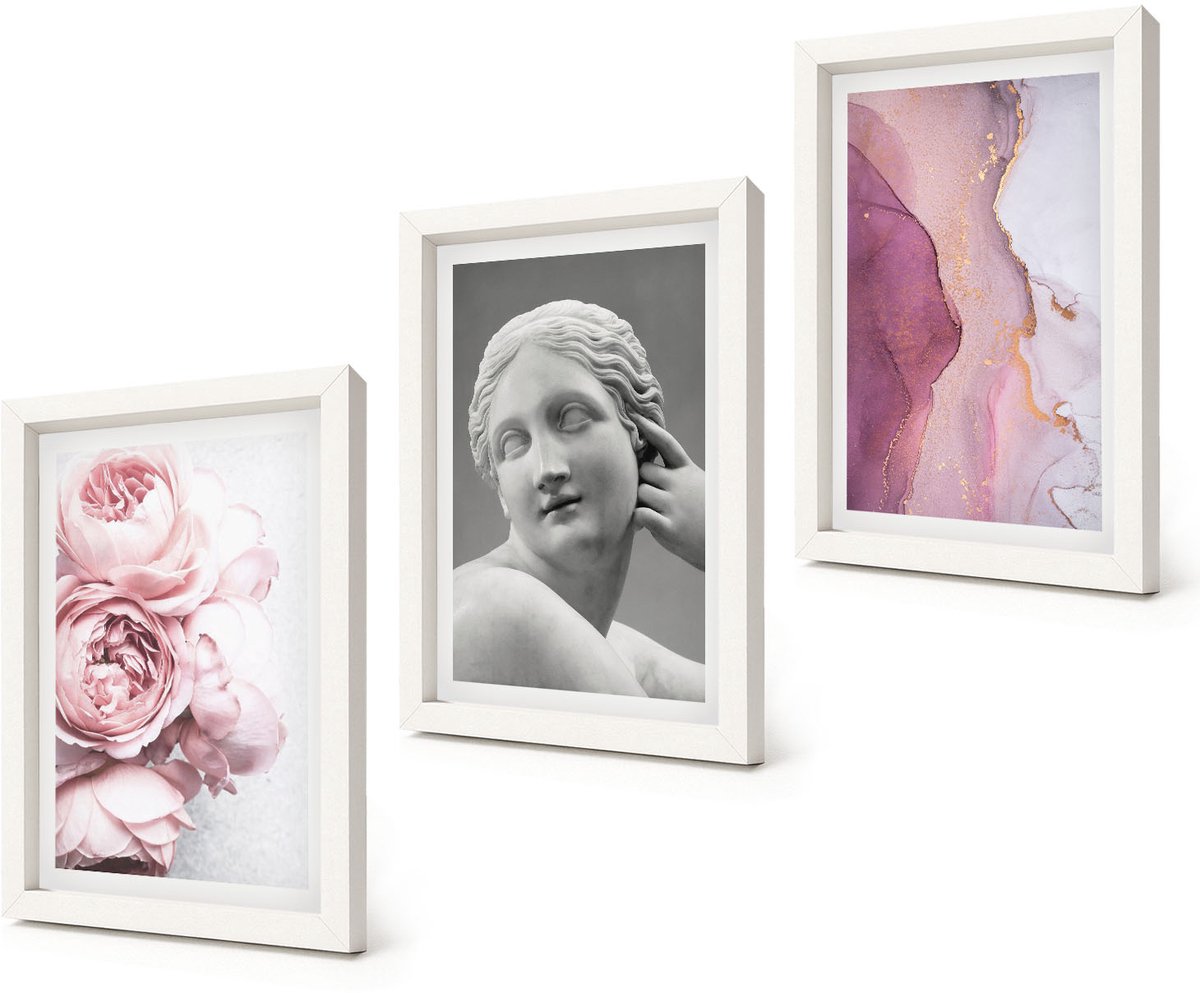 Coloray 3-Delige Schilderij Set - Romantische pioenrozen sculptuur van een vrouw abstractie - 20x30 - Muurdecoratie - Wanddecoratie - Slaapkamer