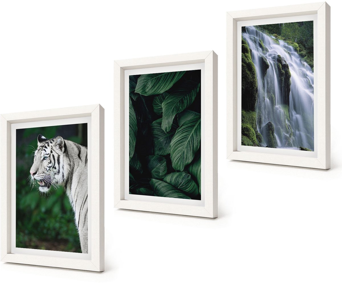 Coloray 3-Delige Schilderij Set - Tijgerwitte bladeren en een waterval in een natuurlijke omgeving - 20x30 - Decoratieve Schilderijen - Woonkamer - Interieur - Moderne Wanddecoratie