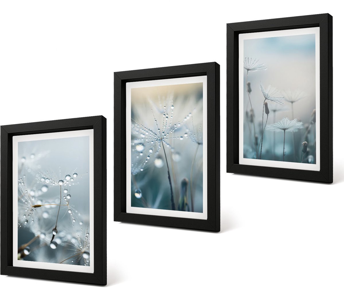 Coloray 4-Delige Schilderij Set - Dauwdruppels op tere paardenbloemen - 20 x 30 cm - Wanddecoratie - Schilderijen Set - Kantoor - Woonkamer Decoratie