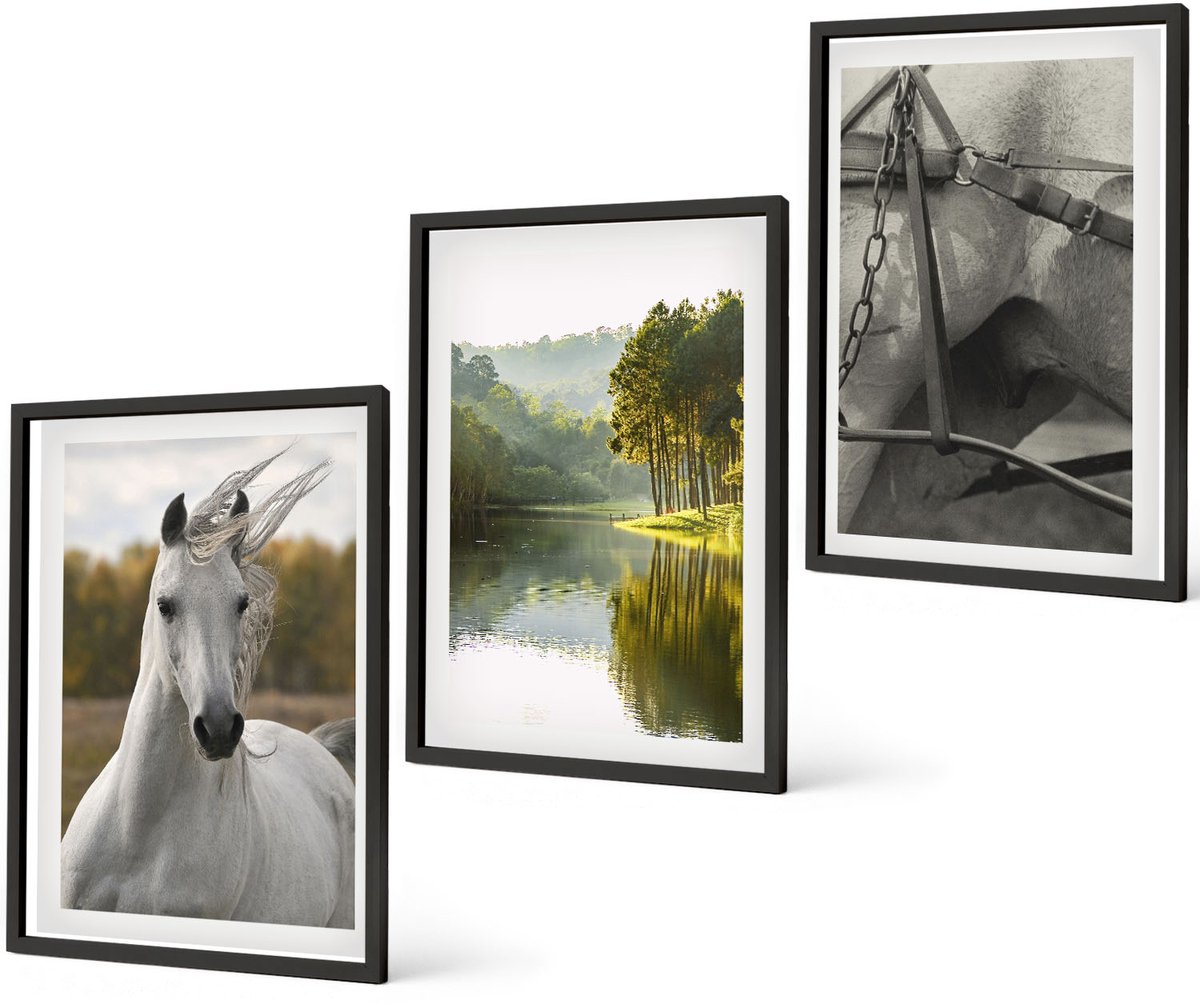 Coloray 3-Delige Schilderij Set - Witte Paarden Aan De Rivier - Natuurlandschap - 40 x 60 cm - Stijlvolle Wanddecoratie - Interieur - Woonkamer Decoratie