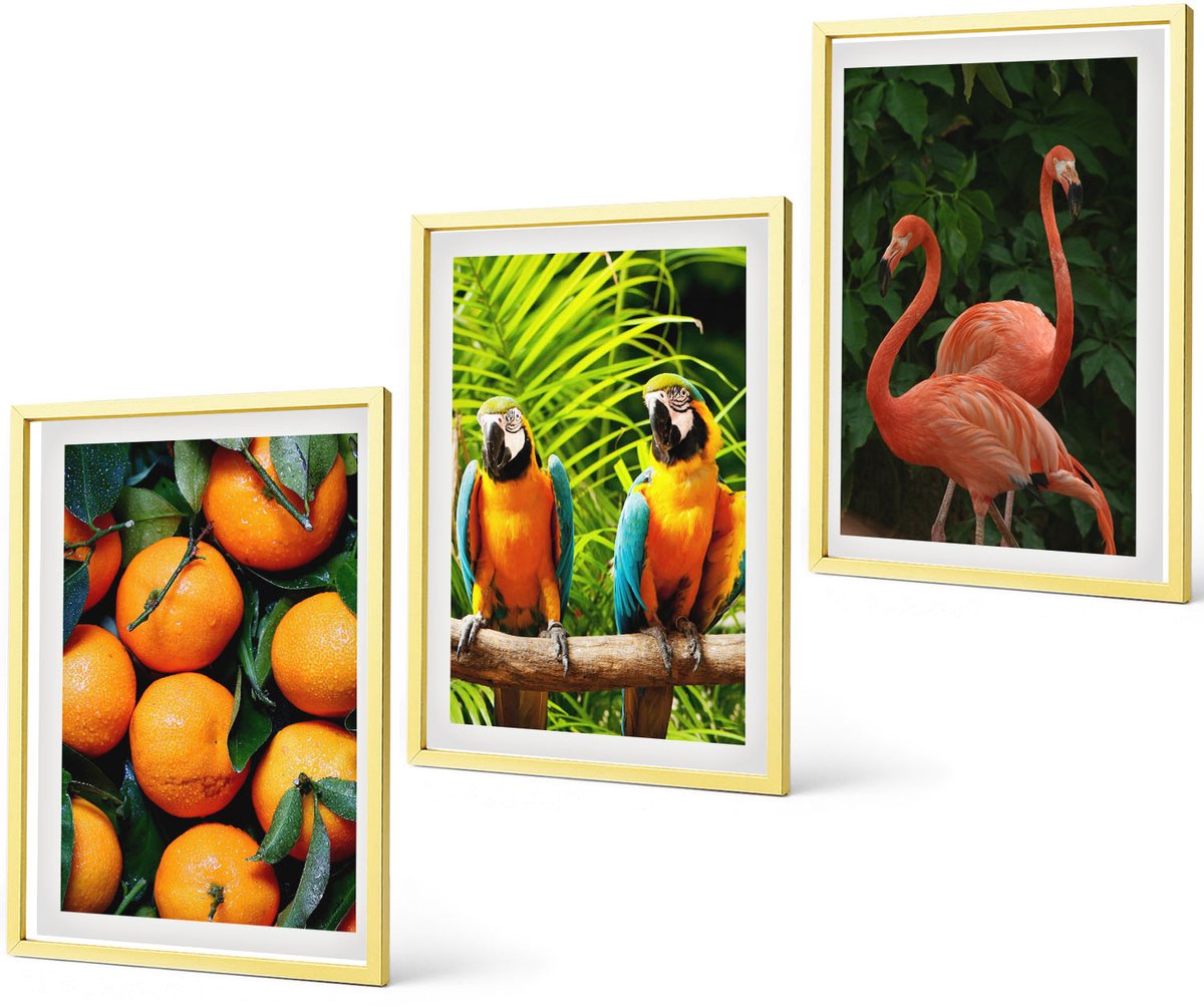Coloray 3-Delige Schilderij Set - Berglandschappen Met Water, Lucht En Bloemenvelden - 40 x 40 cm En 40 x 60 cm - Stijlvolle Wanddecoratie - Interieur - Woonkamer Decoratie