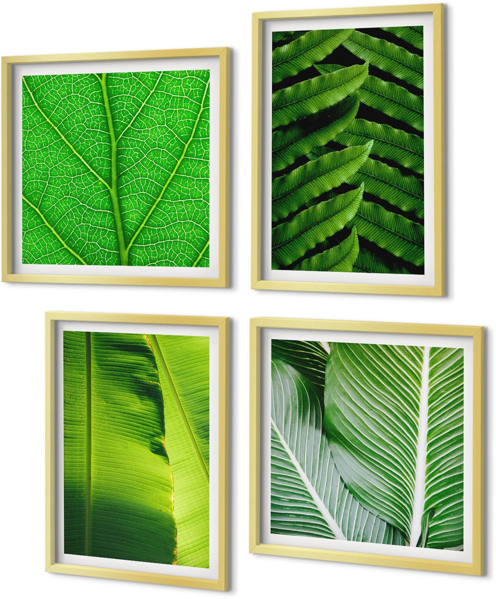 Coloray 4-Delige Schilderij Set - Close-ups van tropische bladeren - 40 x 40 cm en 40 x 60 cm - Muurdecoratie - Wanddecoratie - Slaapkamer - Stijlvolle Muurdecoratie