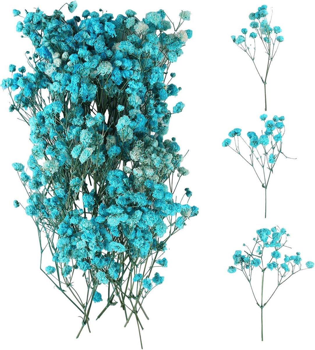 100 stuks gedroogde nevels, meerdere bloemknoppen Gypsophila, mist Gypsophila bloemen, natuurlijke gedroogde bloemen - ShopVlot