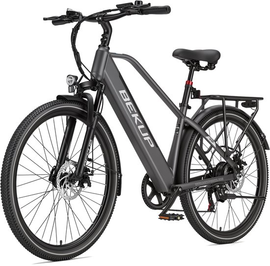 Grijze Bekup elektrische fiets met bagagedrager en schijfremmen.