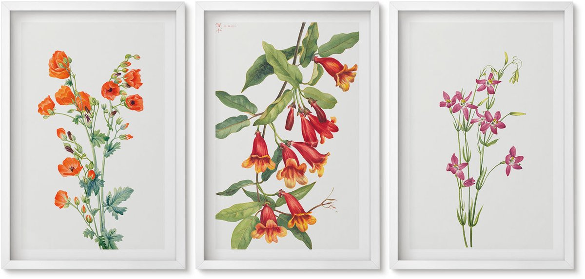 Wallfluent 3-Delige Schilderij Set - Vintage Retro Bloemenschilderij - 40 x 60 - Wanddecoratie - Schilderijen Set - Kantoor - Stijlvolle Muurdecoratie