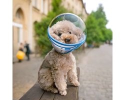 Top 10 honden- en kattenkleding en accessoires 2026: Transparante beschermkap voor honden en katten, XXL