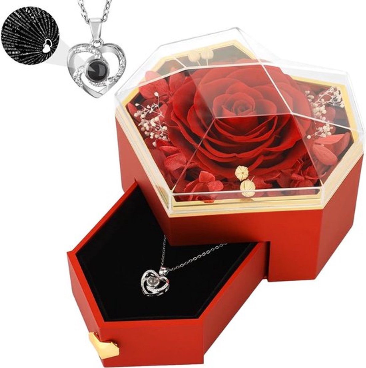 Echte Rozen in een Hartvormige Sieraaddoos met "Ik Hou van Jou" Ketting in 100 Talen, Perfect Cadeau voor Moeder, Vrouw of Valentijnsdag, Rode Rozenjuwelen
