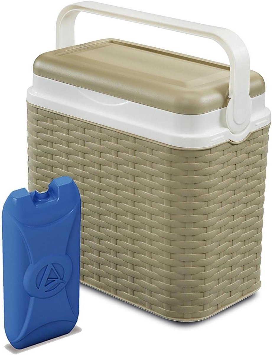 Koelbox Rattan Design - Picknickbox Campingbox - Eten Koel Houden - Met Vergrendelbare Deksel - 10 Liter - Beige
