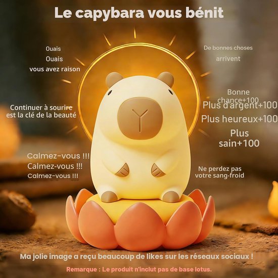 Capybara Lamp - 3 Standen Dimbaar - Lampje Slaapkamer - Schattig Capibara - Siliconen - Lampje Slaapkamer - Siliconen - bang in het donker - Kinder nachtlampje - Slaap - Nachtlamp Maatjes - Leuke Slaapkamerdecoratie - Geboorte- of Kindercadeau — afbeelding 2