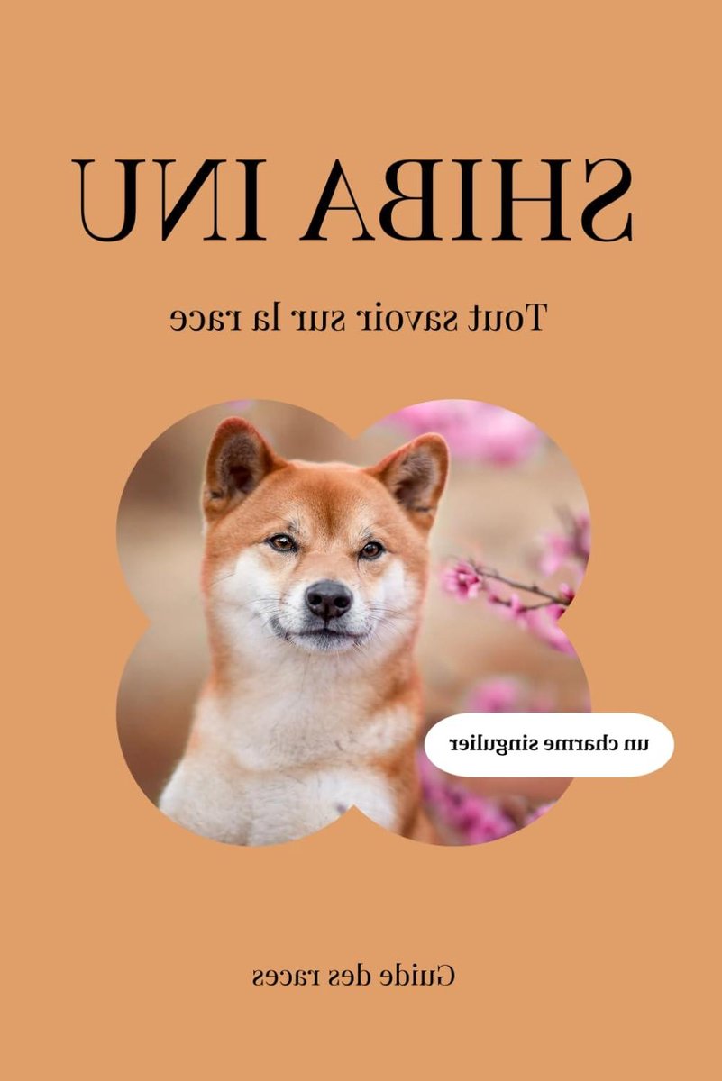 Shiba Inu Boek - Hondenras Gids - Hondenkennis Opdoen - Compleet Ras Overzicht - 44 Pagina's - Niet Van Toepassing