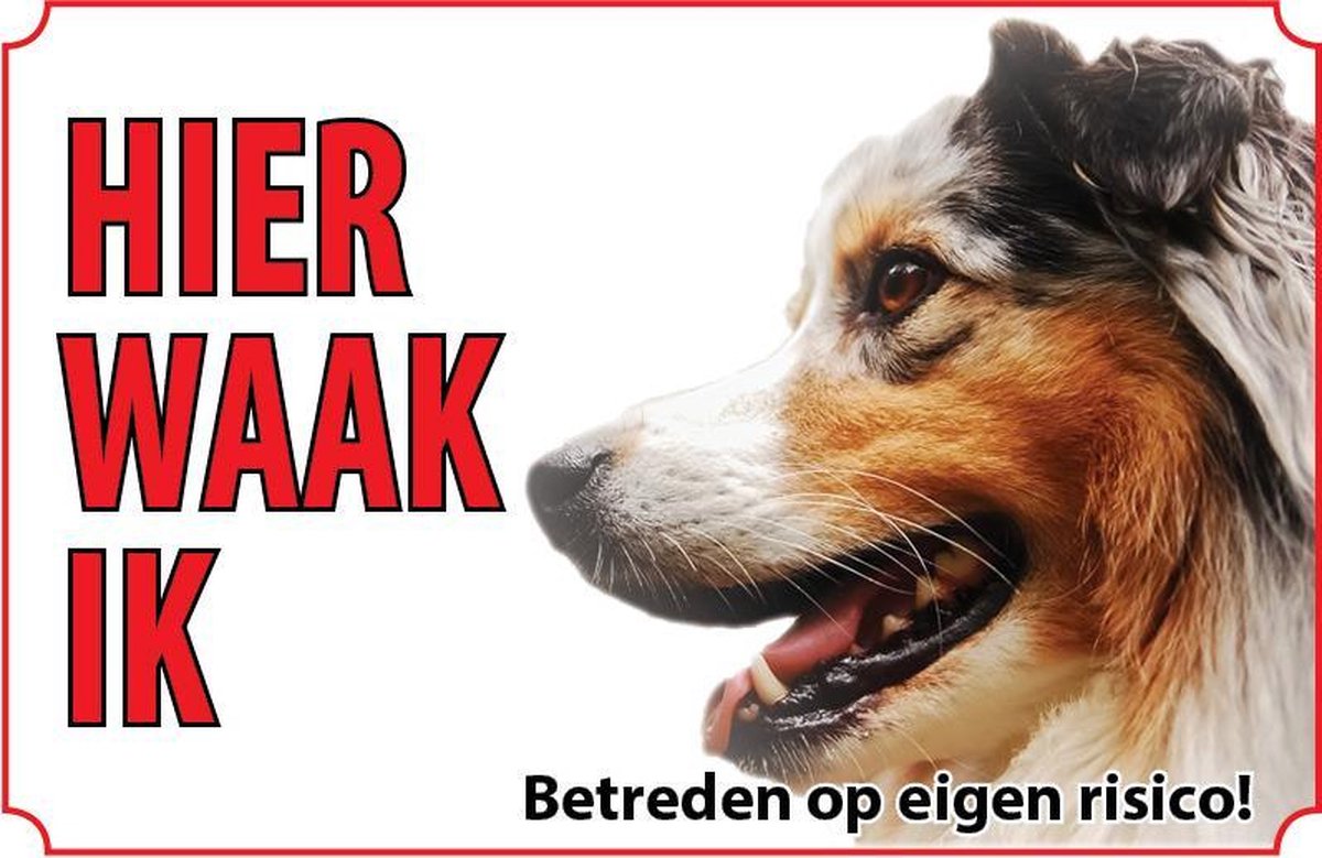 Bord - Hond-Australian-shepherd-Australische-herder