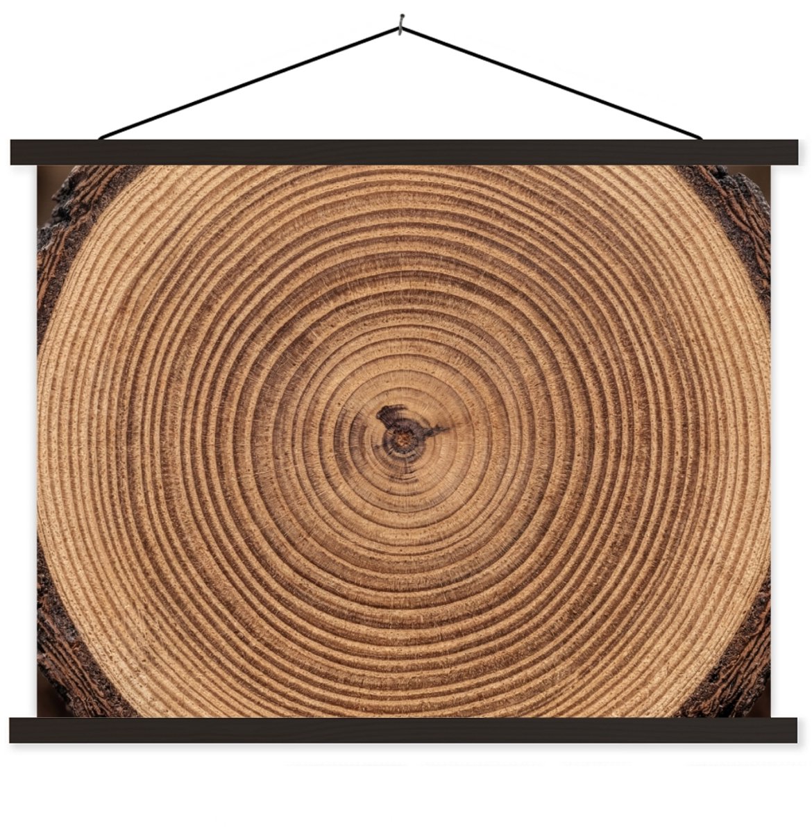 Posterhanger incl. Poster 150x113 cm - Schoolplaat - Boomstam - Hout - Bruin - Textielpost