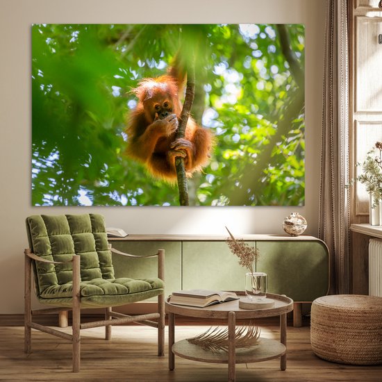 Gros plan d'un singe dans un arbre 180x120 cm XXL / Groot format!