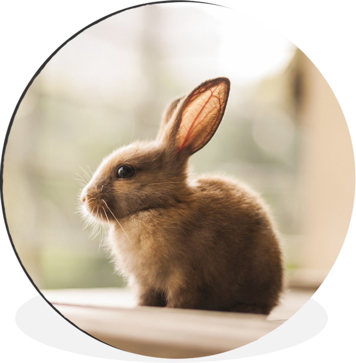 WallCircle - Wandcirkel - Muurcirkel - Konijn - Baby - Bruin - Aluminium - Dibond - 30x30 cm - Binnen en Buiten