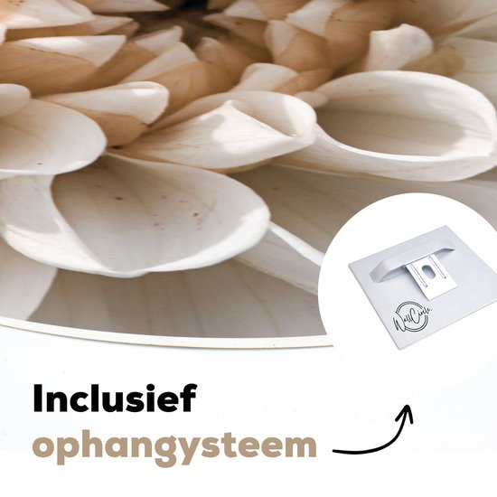Close-up van een witte dahlia met beige tinten. Inclusief ophangsysteem.