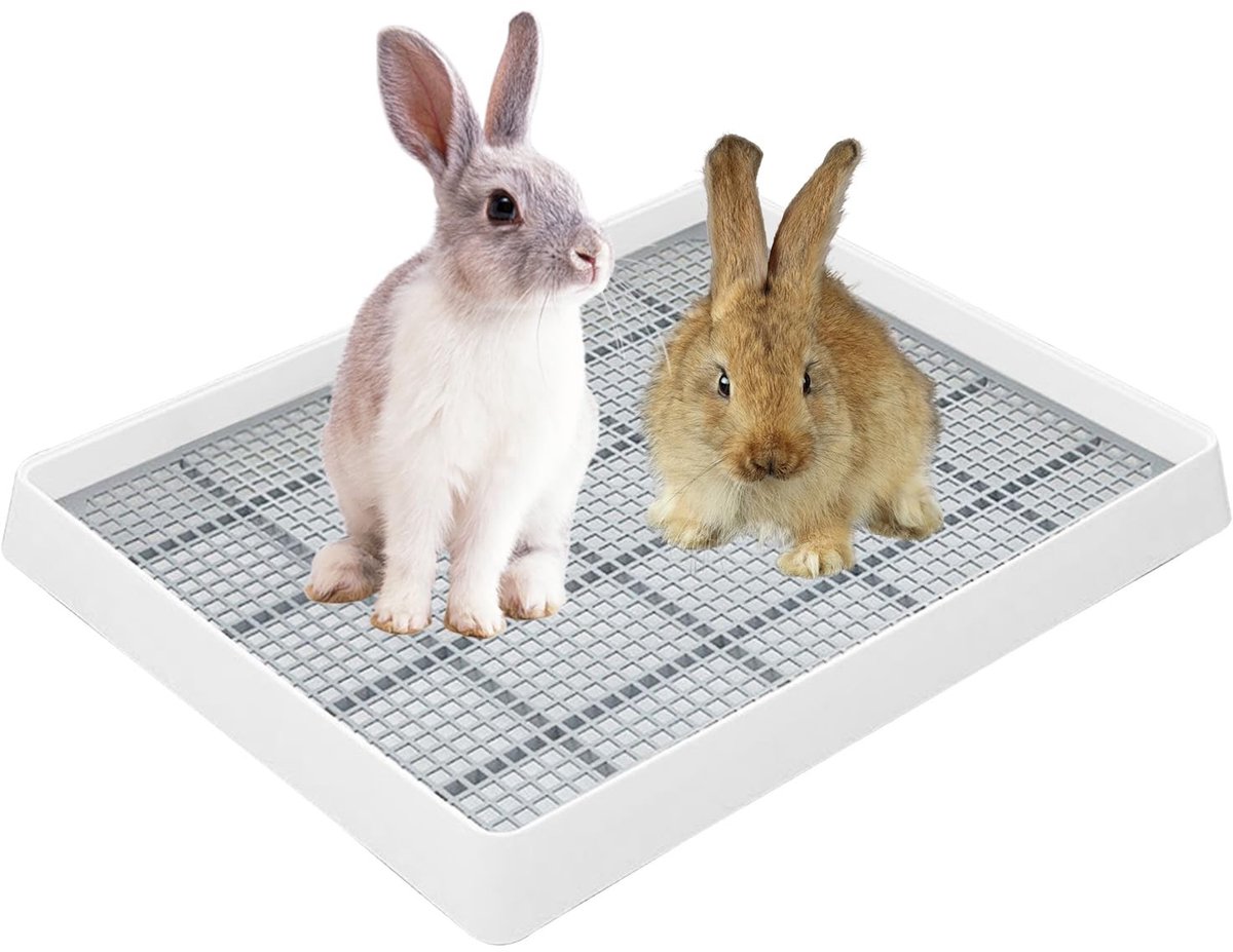 Dailygoods- Kattentoilet XL-formaat - Urinebak - Huisdier-WC - Geschikt voor konijnen - Cavia - Chinchilla - Afmetingen 383 × 309 × 65 mm - Hondentoilet