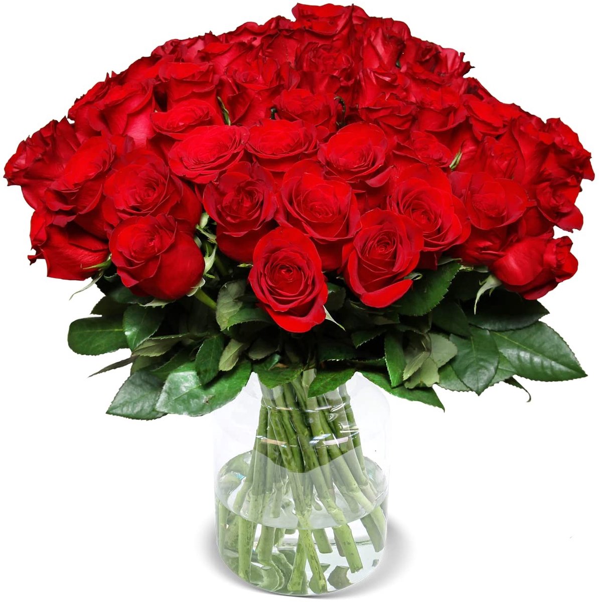 Dailygoods - Rozenboeket met 40 Rode Rozen - Echte Premium Bloemen