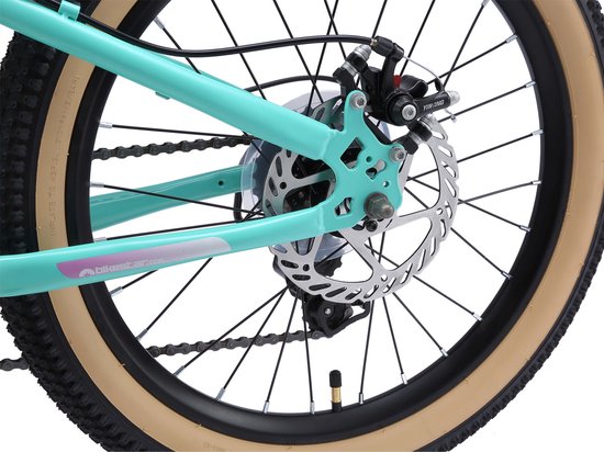 Bikestar kinderfiets MTB Staal 7speed 20inch mintgroen van Bikestar — afbeelding 2
