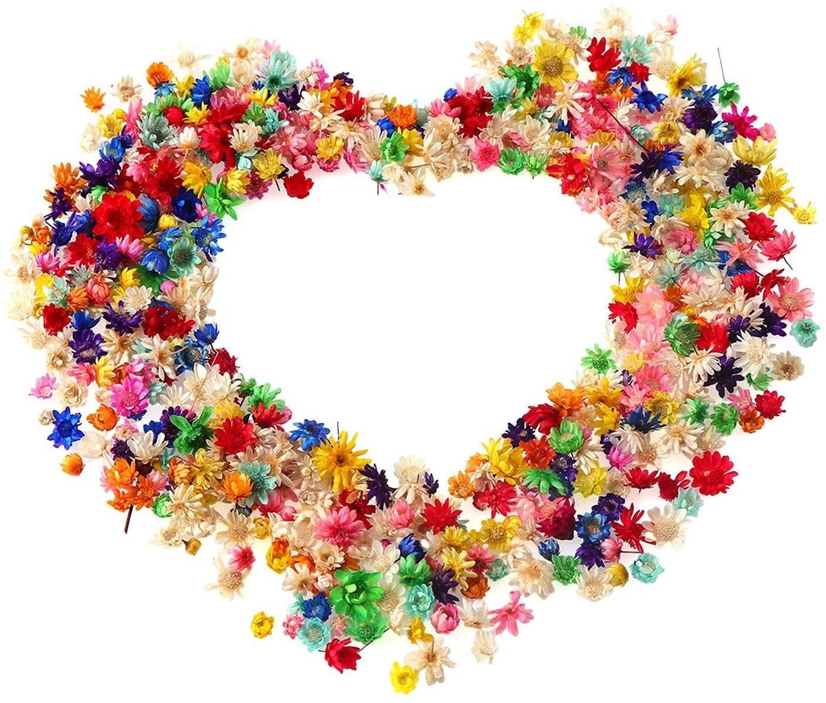 Dailygoods- Gedroogde Bloemen 560 Stuks - Kleine Ster Bloemen - DIY Decoratie - Nail Art - Fotolijsten - Duurzaam en Helder - Bloemdecoratie