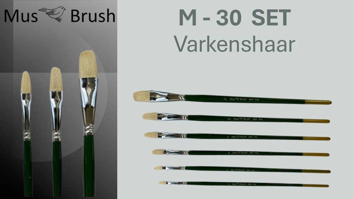 MusBrush M30 Penseelset - Kattentong - 6-delig - Varkenshaar (Hog Brush) - Lange Steel - Voor Olieverf & Acrylverf