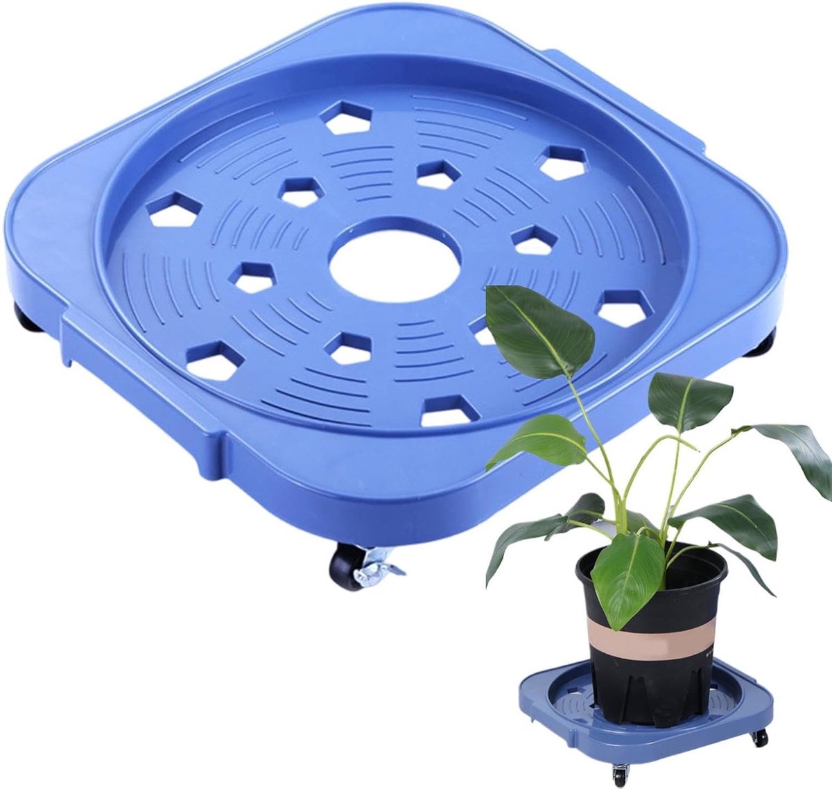 Verhuiswagen met wieltjes - Emmerdrager rol - Potten verplaatsen - Antislip brede basis - 325 x 31 cm - Blauw