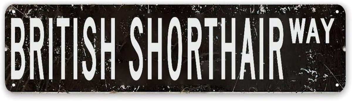 Gepersonaliseerd Naambord - Decoratief Metaal - Huis Versieren - Met Eigen Tekst - 30 x 76 cm - Vintage Stijl