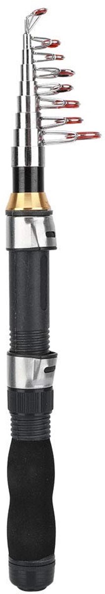Dailygoods- Hengel Intrekbaar 1.9M - Roestvrij Staal - Draagbaar - Antislip Handgreep - Voor Zee/Zoutwater en Zoetwater Vissen - Stevig en Duurzaam - Visstok
