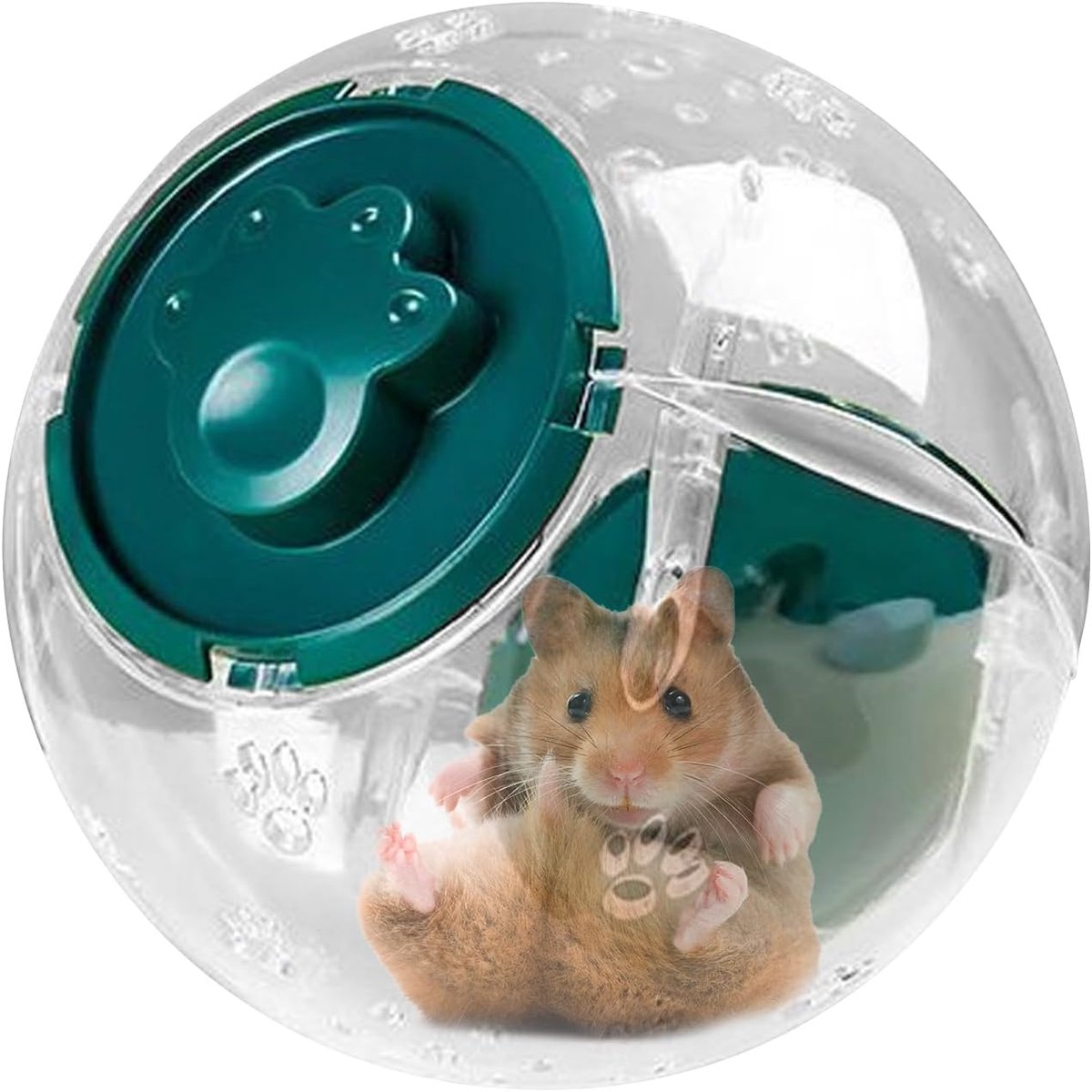 Hamster Loopbal - Fitness Wiel - Dier Beweging - Stil Ontwerp - 22 x 22 x 22 cm - Groen