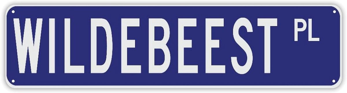 Gepersonaliseerd Naambord - Decoratief Bord - Huis Decoratie - Aanpasbaar Ontwerp - 24 x 6 Inch - Stijl-15