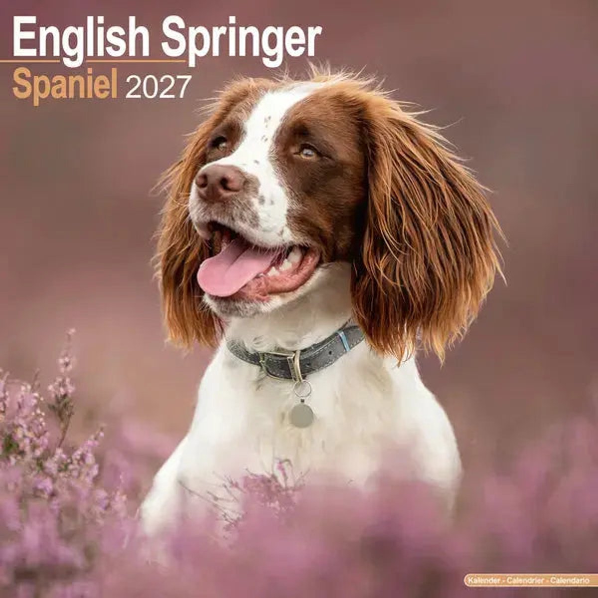 Engelse Springer Spaniel Kalender 2027
