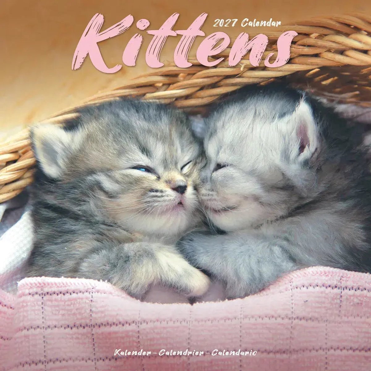 Kittens Kalender 2027