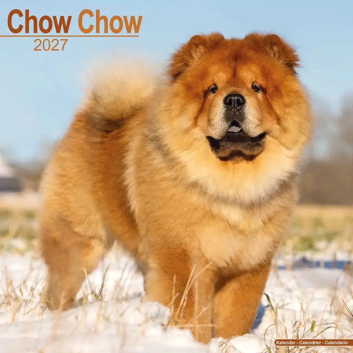 Chow Chow Kalender 2027