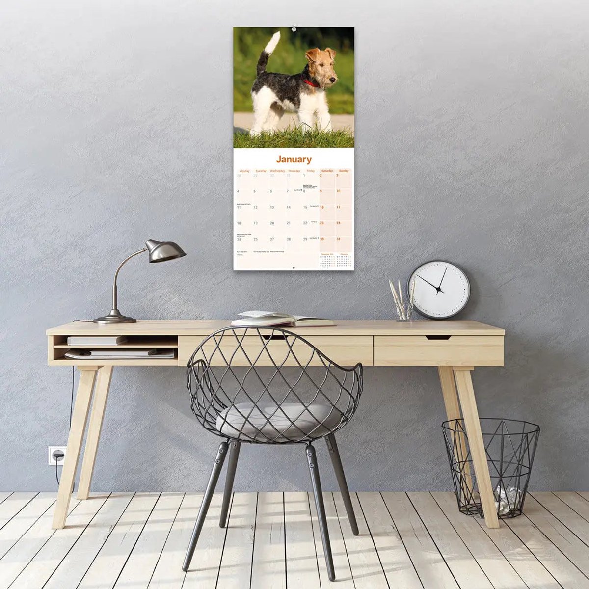 Fox Terrier Ruwhaar Kalender 2027