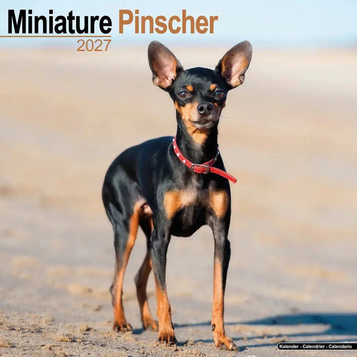 Miniatuur Pinscher Kalender 2027