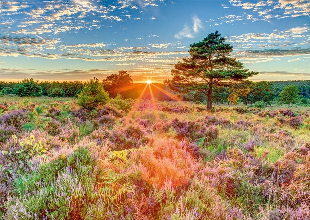 Omgoods - Puzzel van 1000 Stukken met Kleurrijk Landschap