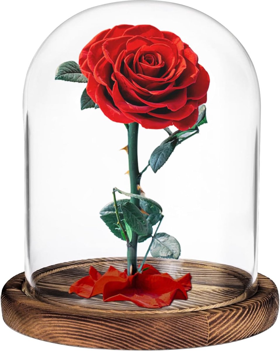 SnelShoppen - Glazen Klok met Houten Basis, Dome Decoratie van Transparant Glas, Tafel Decoratie voor Antiek en Verlichting, 12x15cm, Voor Feest en Tu
