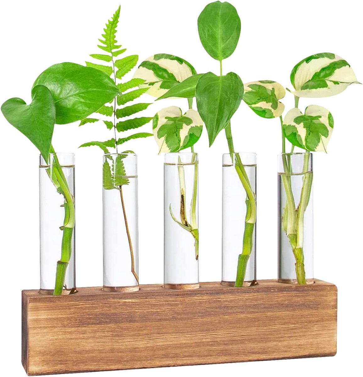 SnelShoppen - Moderne Bloemenvaas met Houten Stand voor Hydroponics, Decoratie Set met 5 Testbuizen, Duurzaam Borosilicaatglas, Perfect voor Thuis, Ka