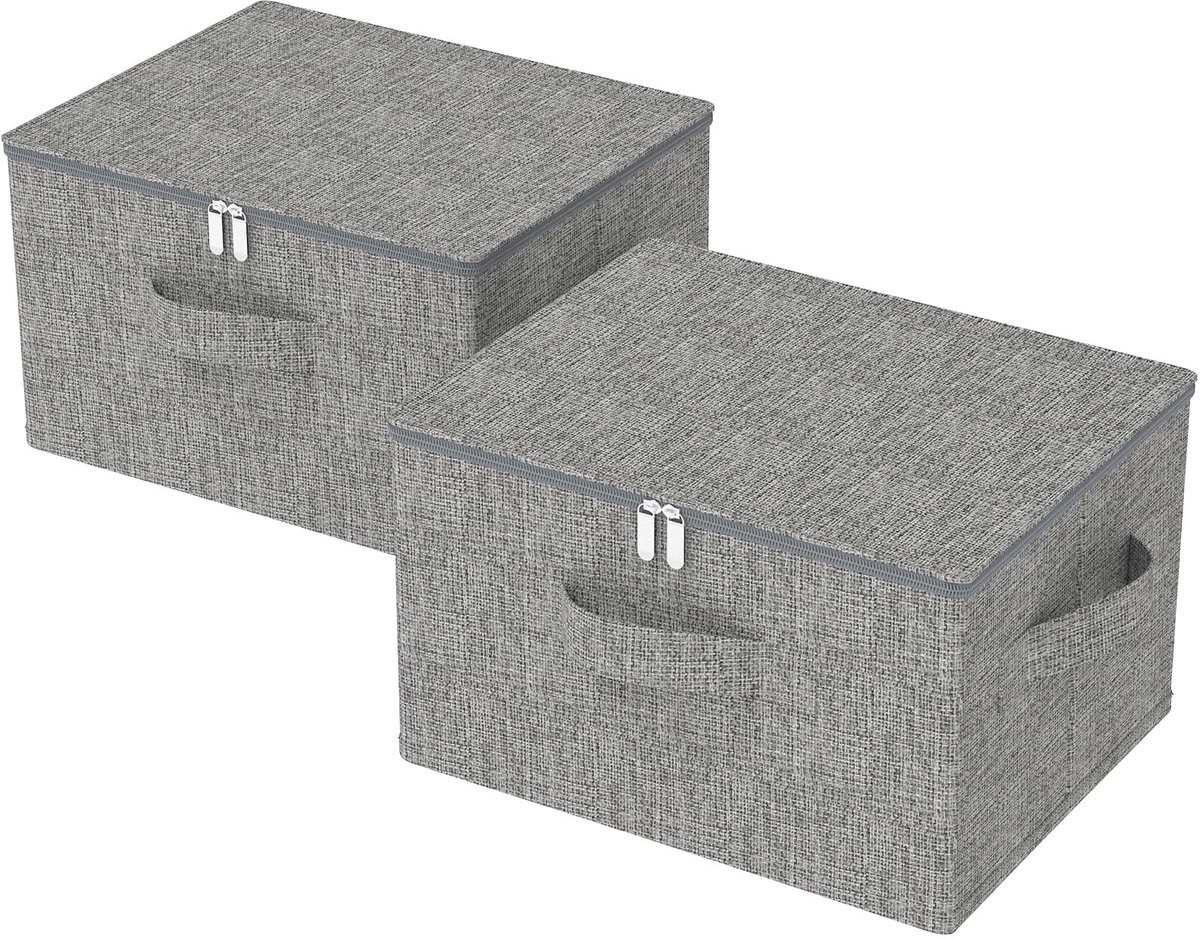 Omgoods - Set van 2 Vouwbare Opbergdozen met Deksel, 50 x 40 x 30 cm