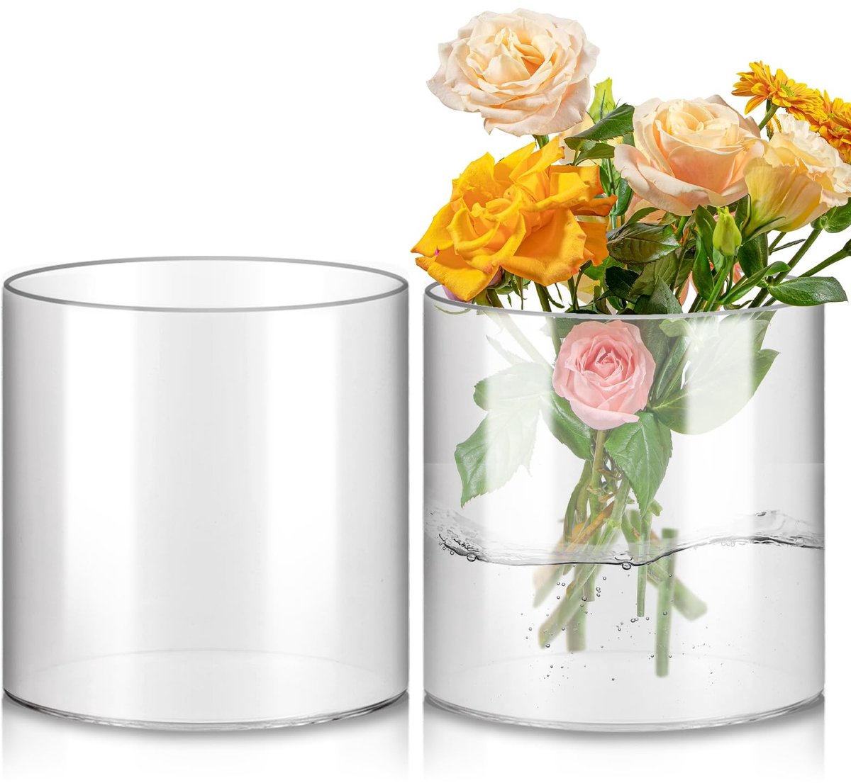 Omgoods - Set van 2 Glazen Cilinders voor Bloemen en Decoratie