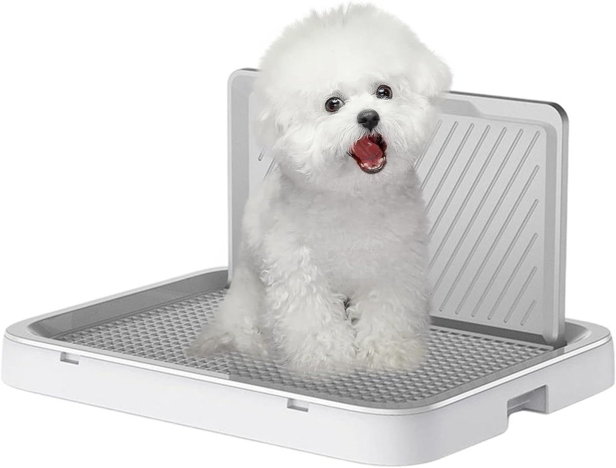 Hondentoilet Training - Hondenplasbak Puppy Plasbak - Zindelijkheidstraining Huisdier - Spatwaterdichte Barrière - 52x40x3 cm - Grijs