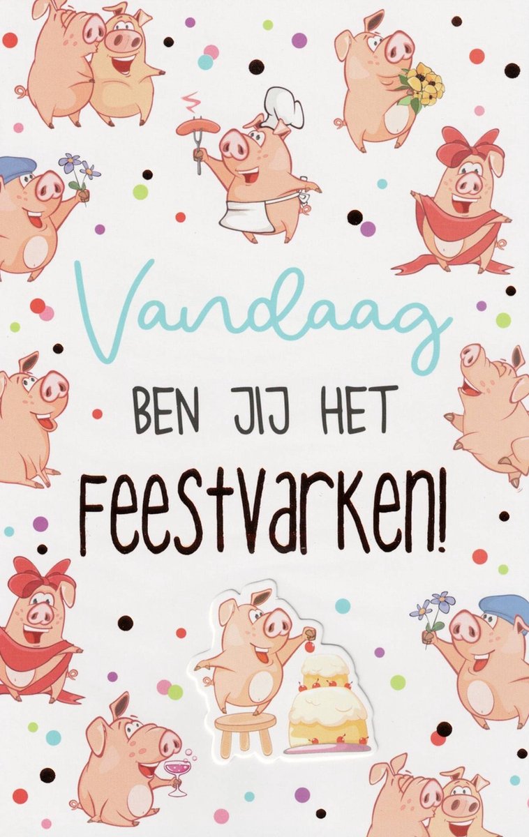 Wenskaart | 6 stuks | ADIOS applicatiekaart Vandaag ben jij het feestvarken!