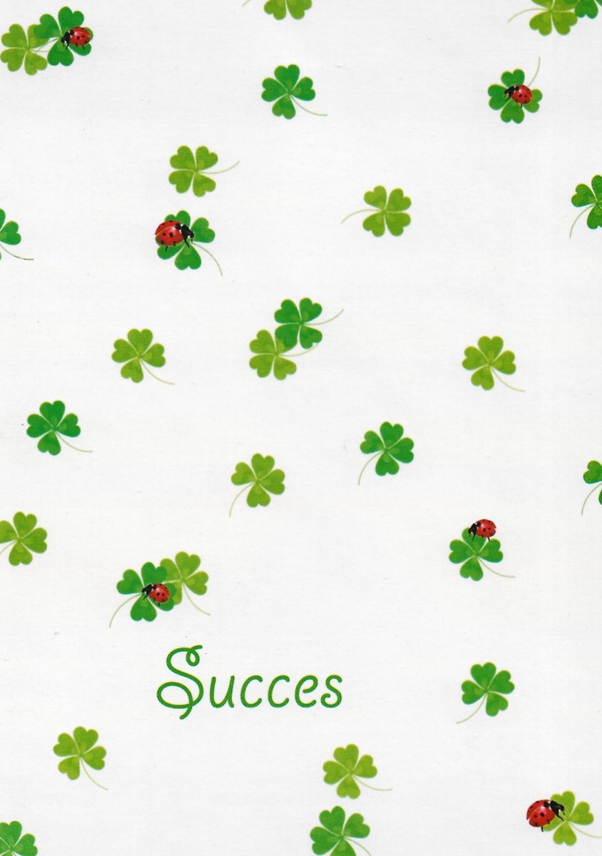 Succes kaart | Wenskaart | 10 stuks | Succes