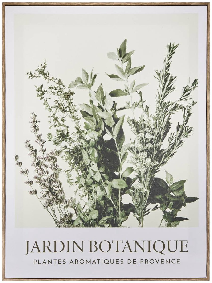 Ingelijst schilderij met botanisch motief CECILIA