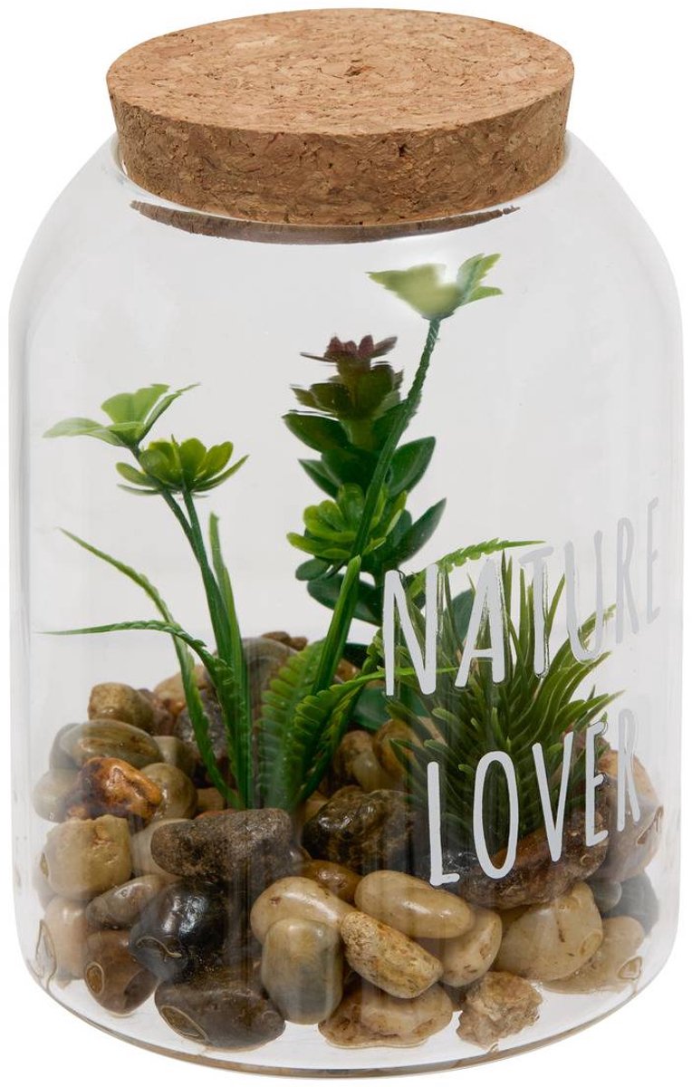 Terrarium ADY