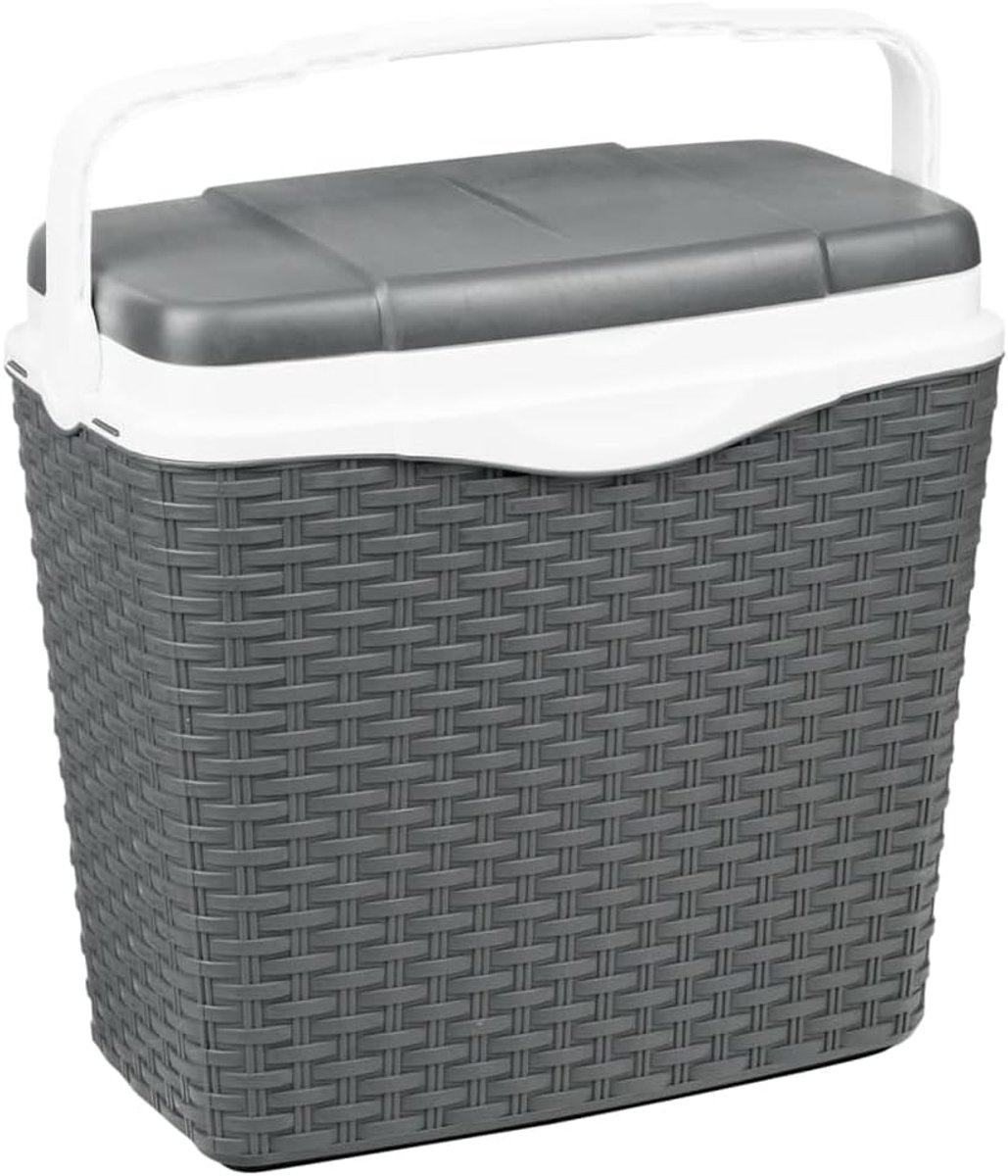 SnelShoppen - HI Coolbox 24L met handvat - Rattan look anthraciet - Ideaal voor camping, feest, picknick, tuin, kunststof met polystyreen isolatie