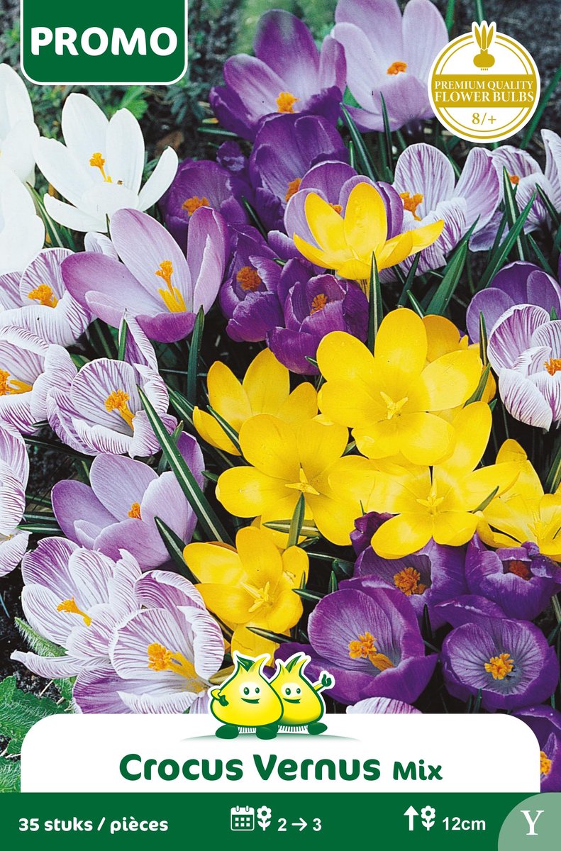 1 Zakjes Promoverpakking Crocus Vernus Mix 35 Stuks maat 8/+